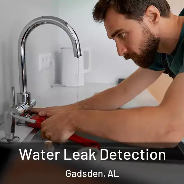  Water Leak Detection Gadsden, AL